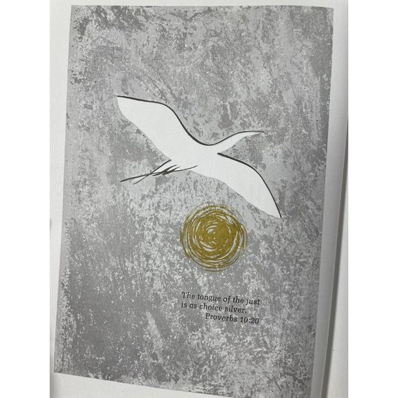Wings of Silver Pillow Hard Cover Vintage 1967 Book With Original Box Jo Petty - Picture 4 of 12